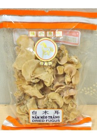 NẤM MÈO TRẮNG