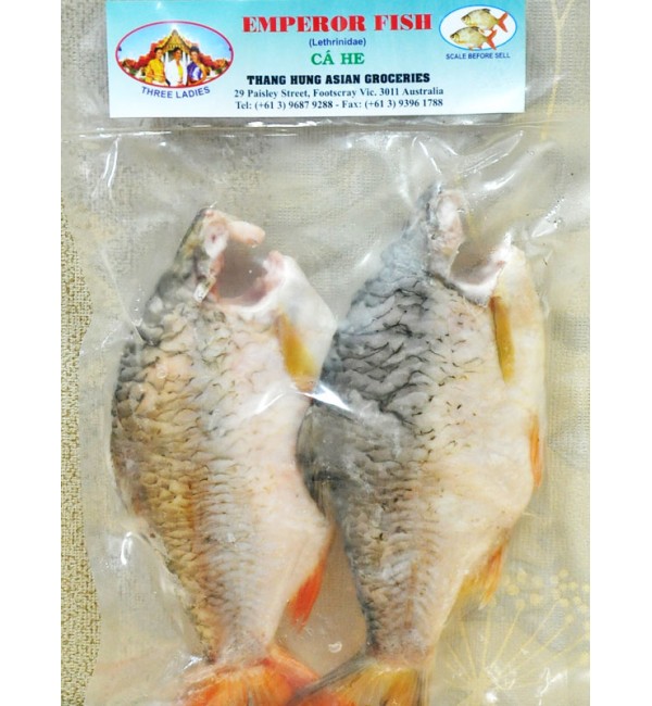 CÁ HE KHÔNG ĐẦU LÀM SẠCH