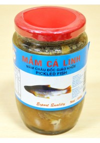 MẮM CÁ LINH