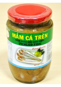 MẮM CÁ TRÈN