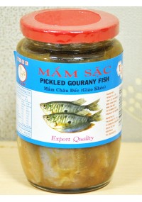 MẮM SẶC (GIÁO KHỎE)